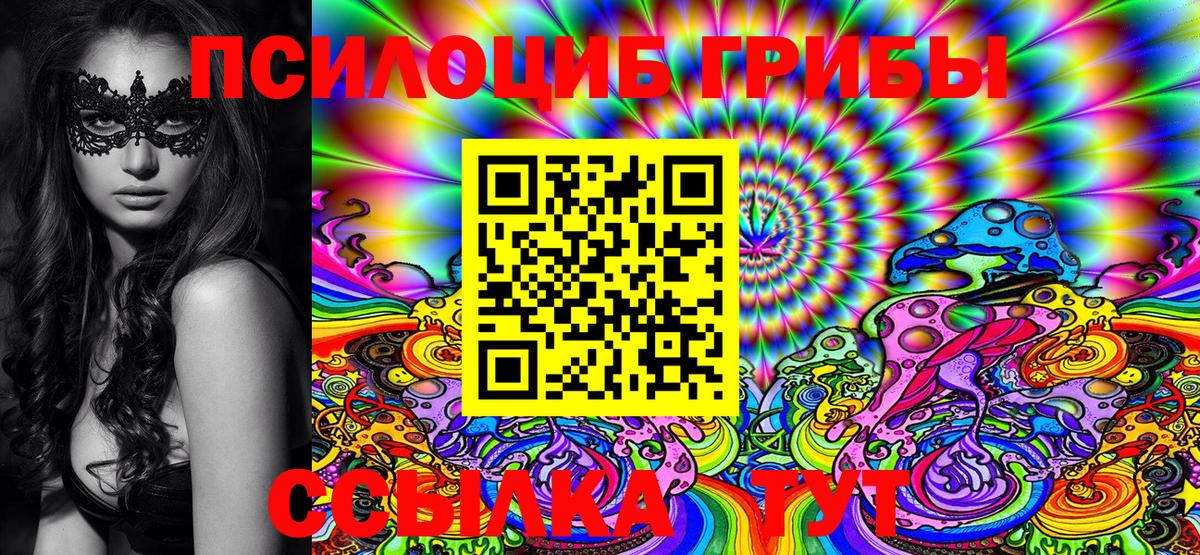 Галлюциногенные грибы мицелий  Псилоцибиновые грибы Psilocybe  Вход с VPN  Аша 